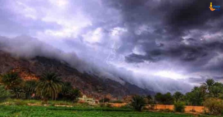 Oman turns green due to rains
