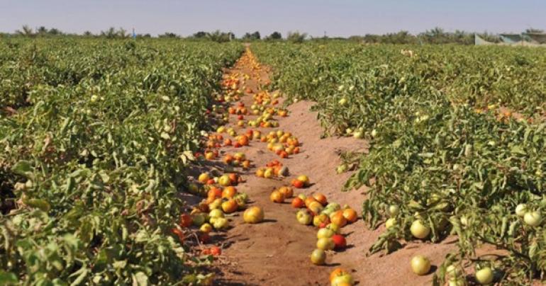 Al Najd farms in Dhofar enhance food security in Oman