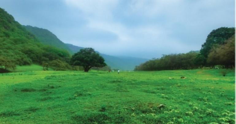 COVID-19: Dhofar announces cancellation of camps