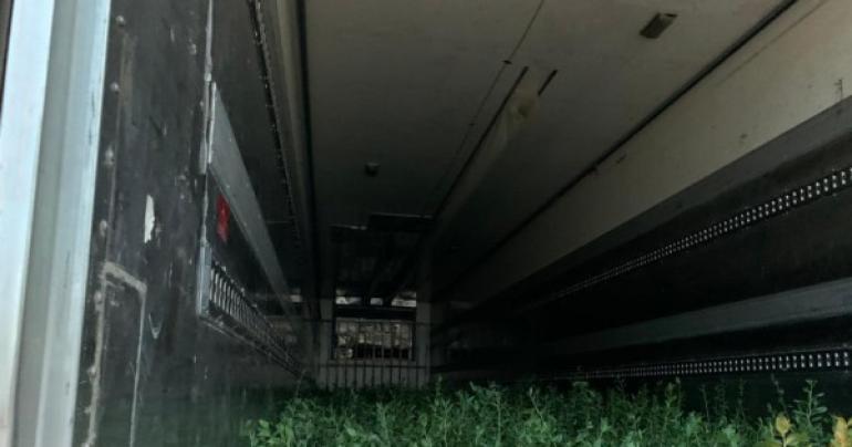 Citizen donates 3000 seedlings to National Initiative