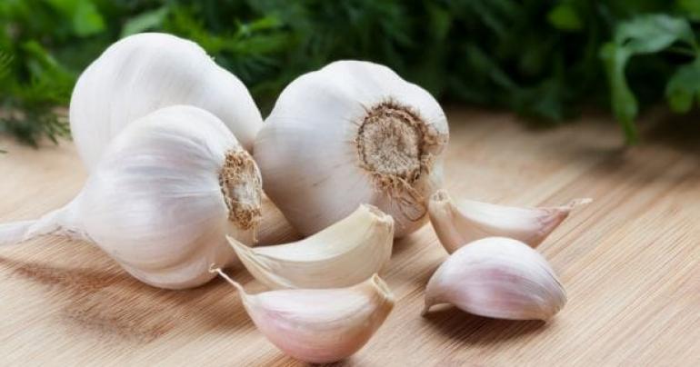 The Many Incredible Health Benefits of Eating Garlic: Boosting Your Immune System