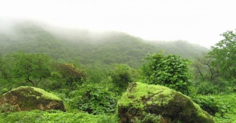 National team formed to study rainwater drainage in Dhofar