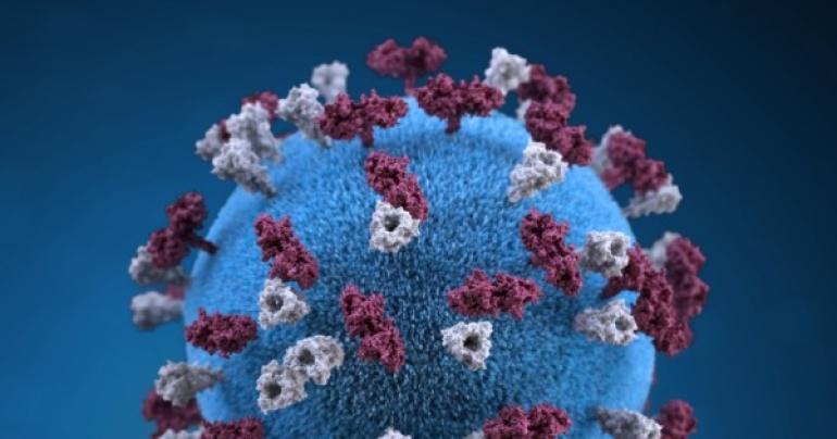 Isolation centres have zero admissions