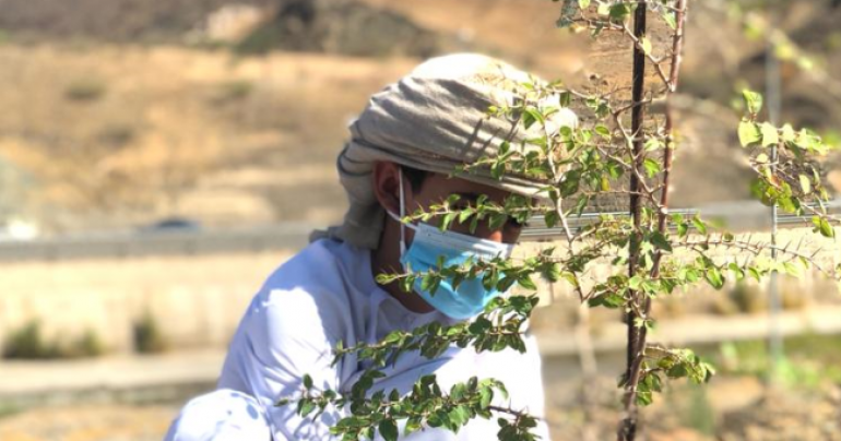 Over 300 wild trees planted in Al Buraimi