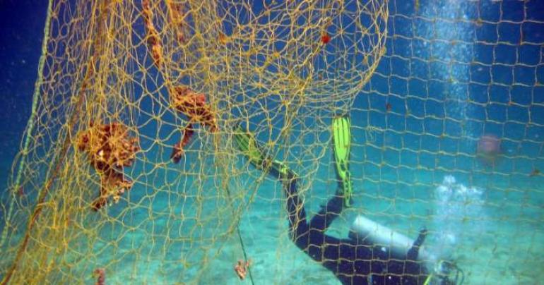 Fishing net removal campaign concludes at nature reserve in Oman