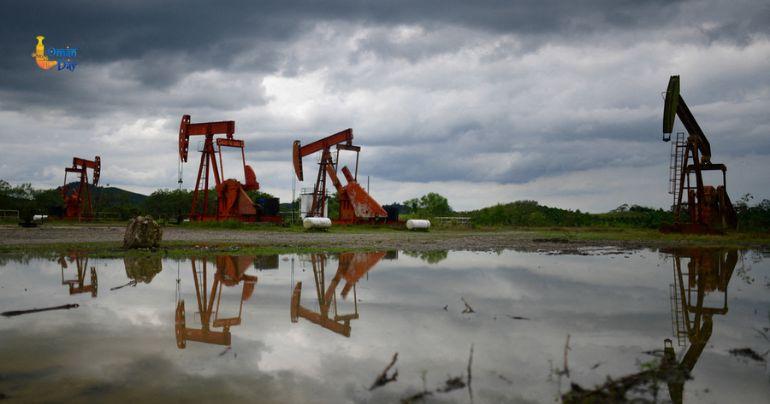 WTI crude