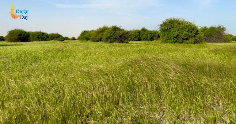 FANA environmental file