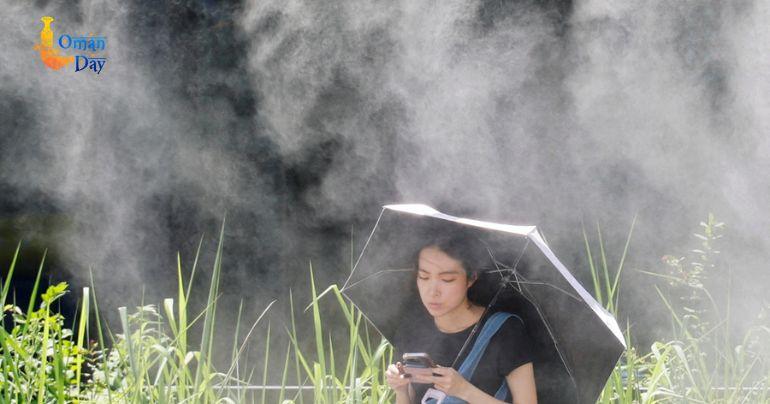 Belgium heatwave deaths