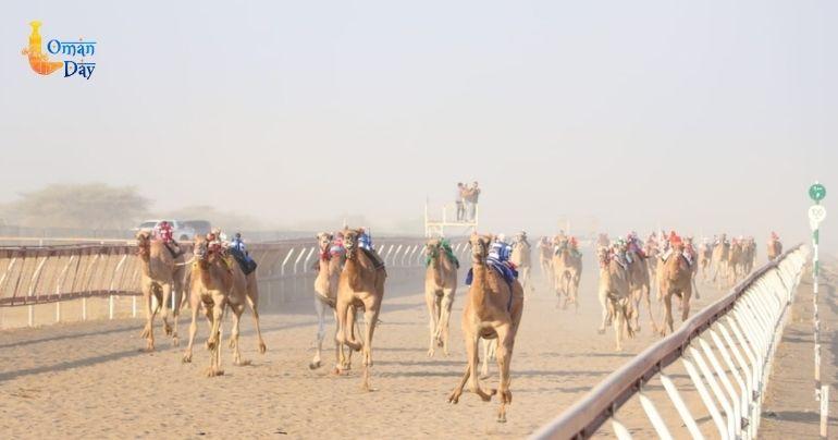 Oman Camel Racing Federation