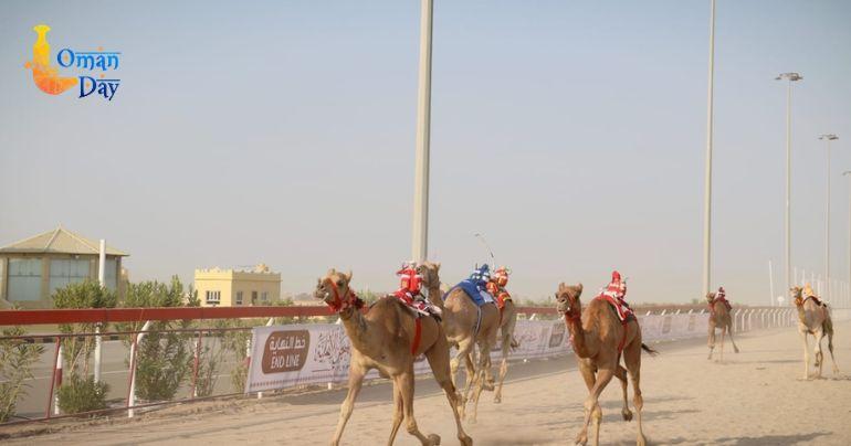Al-Bashayer Camel Racing Track