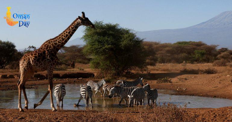 Living Planet Report