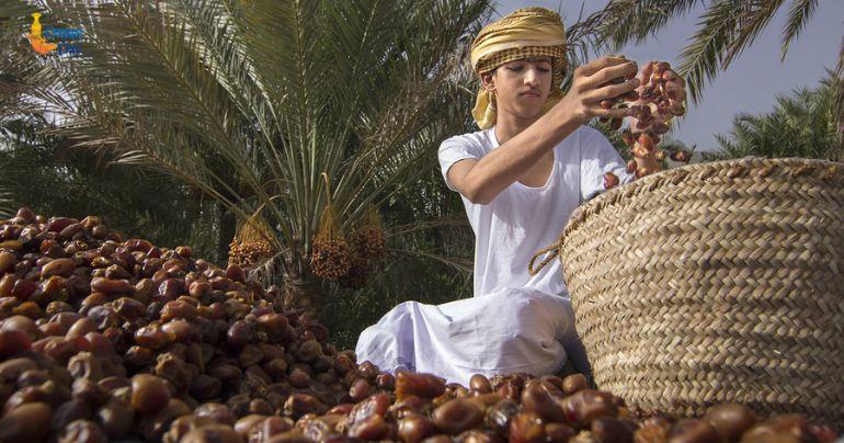 International Date Council Muscat