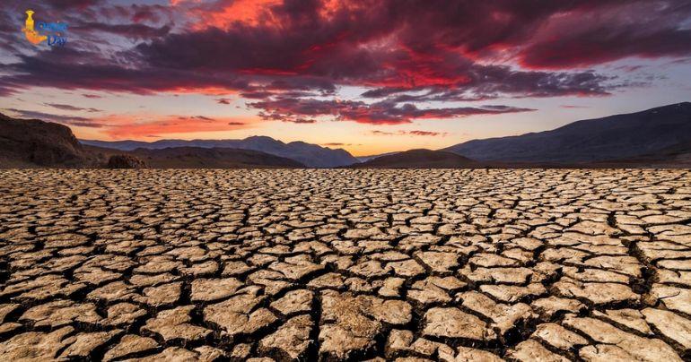 UN Environment Programme