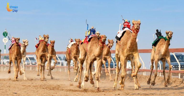 Oman Camel Racing Federation
