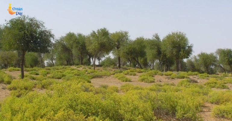 Plant Propagation Center Oman