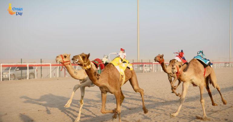 Al-Bashayer Camel Racing Field