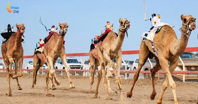 Al-Falij Camel Racing Field